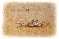 THE GARDEN ISLE- KAUAI / MAUI